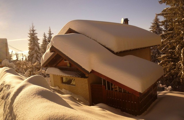 To just relax or to party