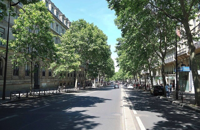 Top-of-the-Range Designer Stay–Daily Housekeeping –St Germain/Luxembourg Gardens