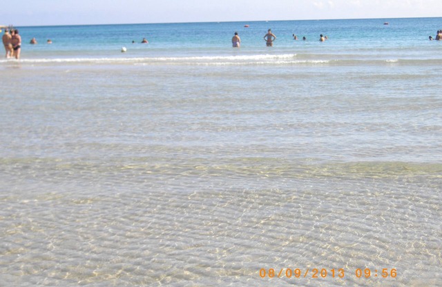 TORRE CANNE HOLIDAY HOUSES, your vacation in relaxation.