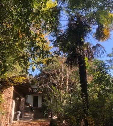 TORRE GARDEN HOME - casa singola nella città di Bolzano con giardino privato