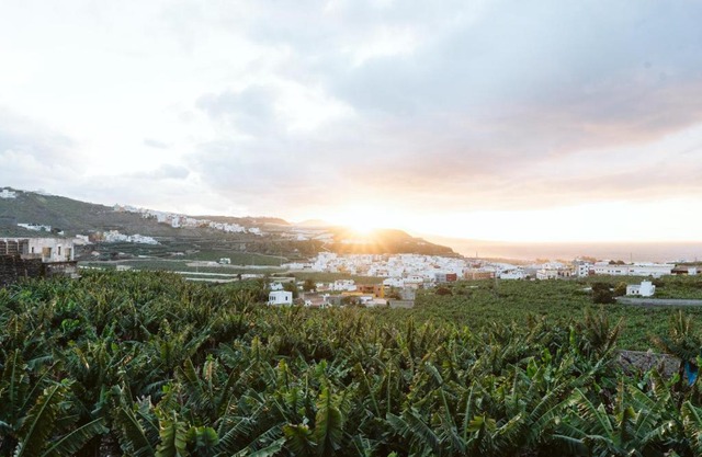 Tortuga blue house in banana plantation