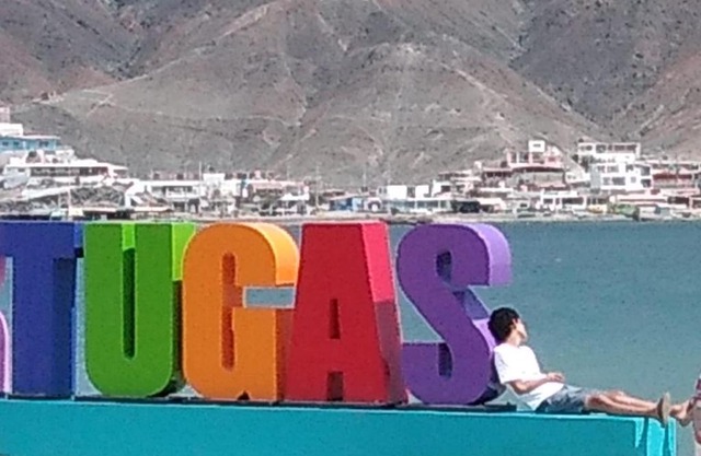 TORTUGAS LA CASA DE JOAQUIN