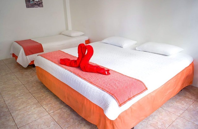 Tour to volcan, swim with sharks! Double Room Suite #2