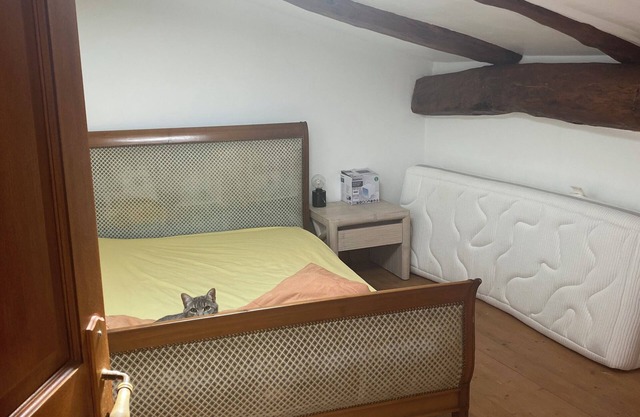Town house near Anduze la bambouseraie in the Cévennes