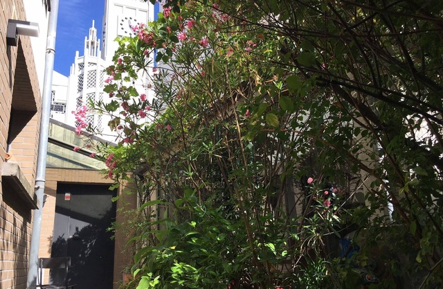 Town house with terace