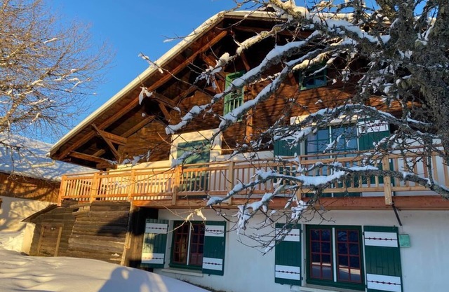 Traditional chalet in the woods