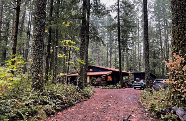 Tranquil Basecamp+Fast WiFi+PetFriendly in Mt Hood Village