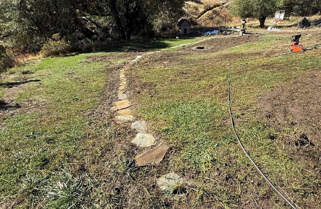 Tranquil farmhouse coi pond chickens duck eggs and pigmy goats, in New Castle co