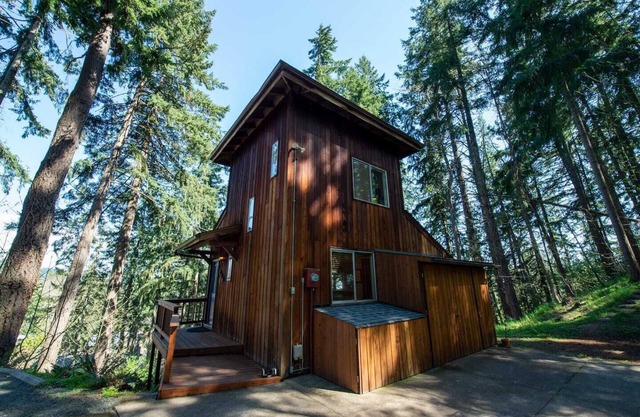 Tranquil Forested Cabin with Sauna, Home Gym, & AC