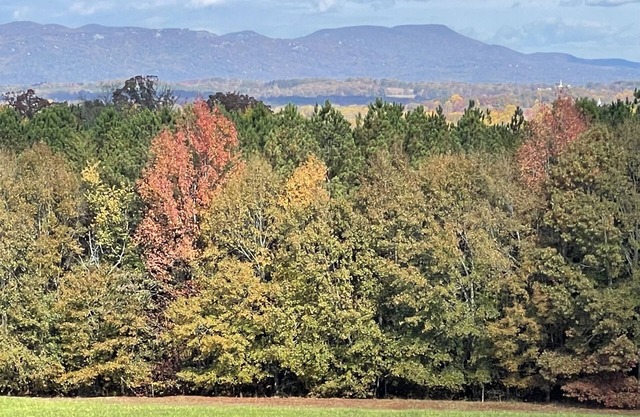 Travelers Rest, Furman, Greenville, and a mountain view!