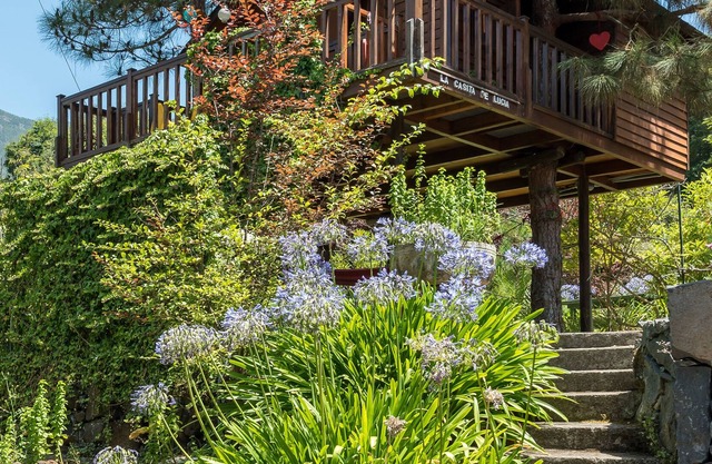Tree House with farm house