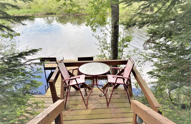 Tree Top Retreat | 3 Bed, 2 Bath