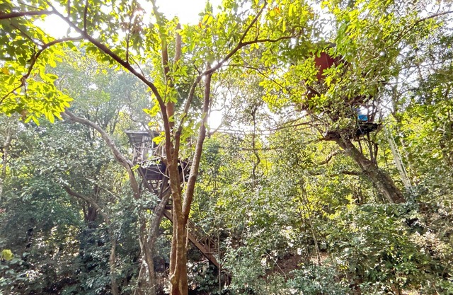 Treedom Treehouse Eco-Restoration getaway in the Jungles of South India