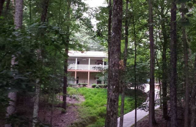 Treehouse in Coosawatee River Resort