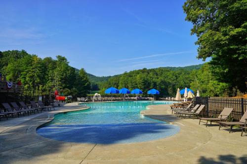 Treetop Tranquility in Big Canoe