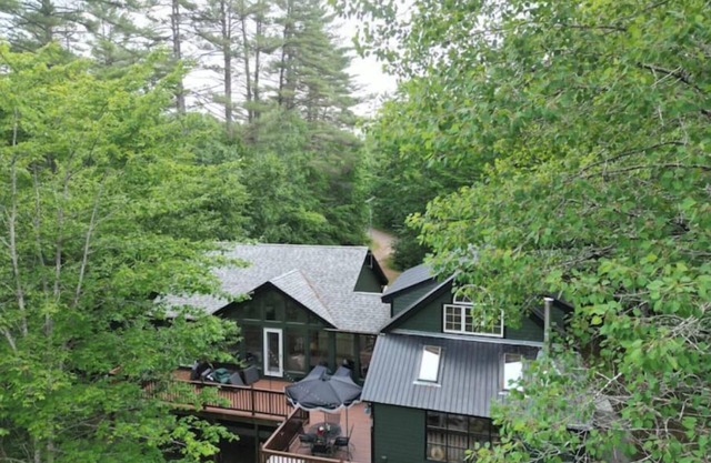 Treetops at Kezar Lake