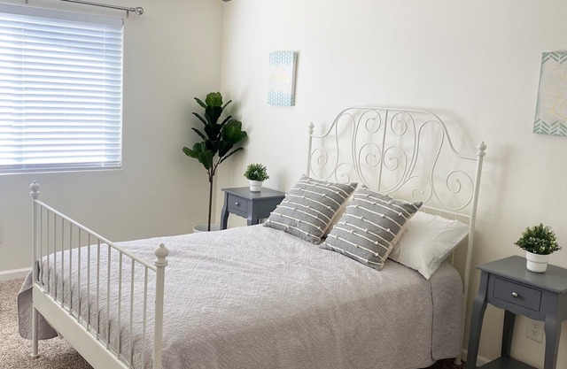 Trifecta Home-