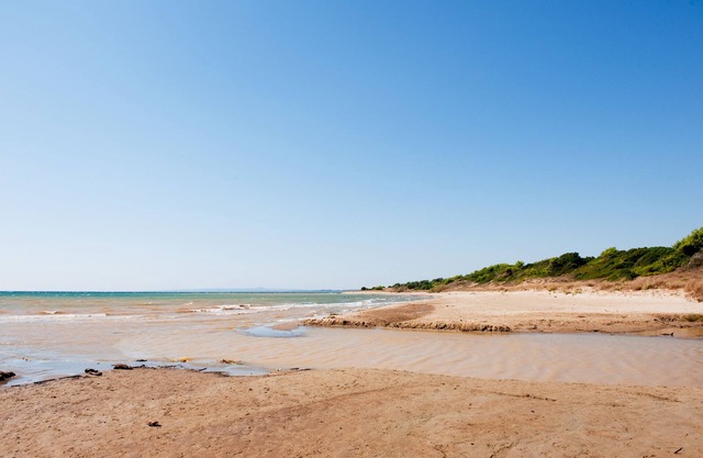 Trikalioti's Lush Estate Apt Arethousa