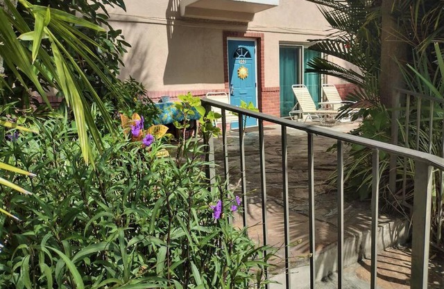 Tropical Courtyard Paradise on St Pete Beach Friendly Native #502