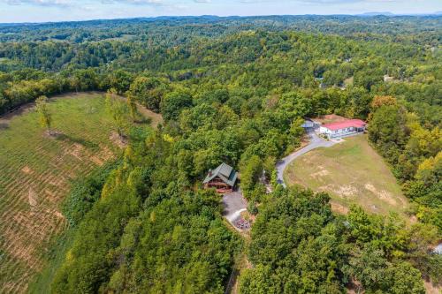 Two Dancing Bear Cubs by American Patriot Getaways