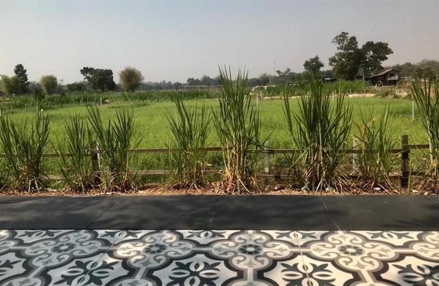 Udon Farm Fun Homestay with swimming pool