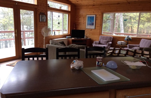 Ultimate Family Lake Experience with 18' pontoon boat