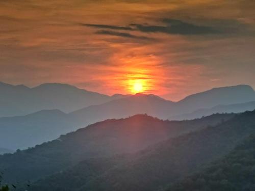 Ultimate Tranquillity and Relaxation