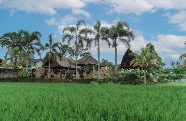 Umadesa Villa Tegallalang