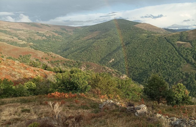 Un Écrin de Verdure Entre Causses Cévennes et Mont Lozère