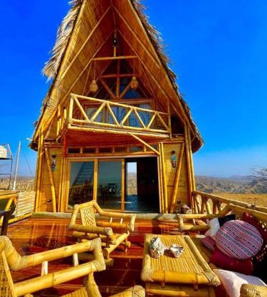 Un encuentro mágico con la naturaleza