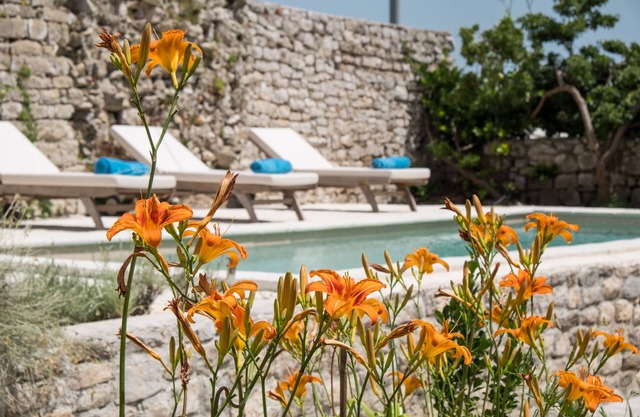 Unique Antistress Oasis Villa Antiqua