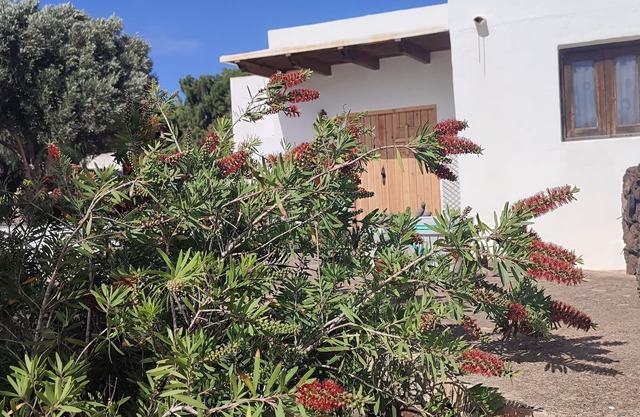 Unique Rustic Villa, quite and relaxing. Cosy and familiar atmosphere