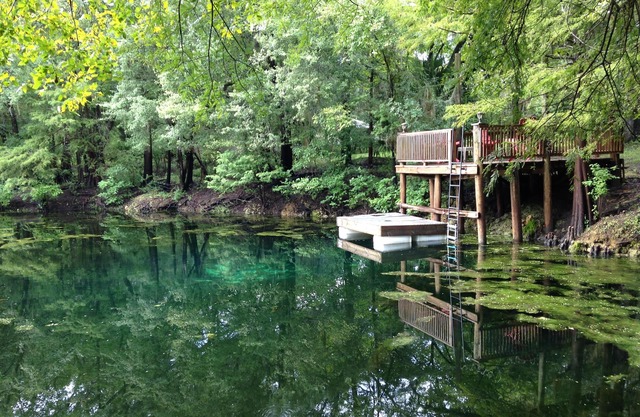 Unique Waterfront Small Cottage
