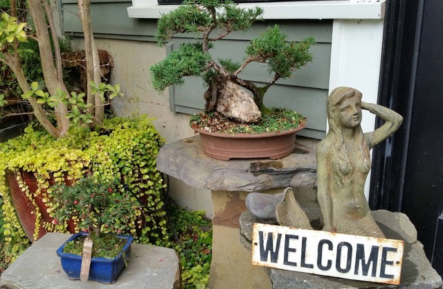 University Garden Suite