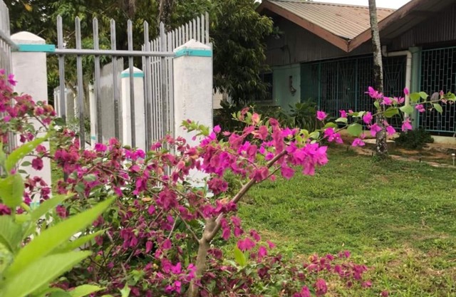 Unu Pikin Guesthouse