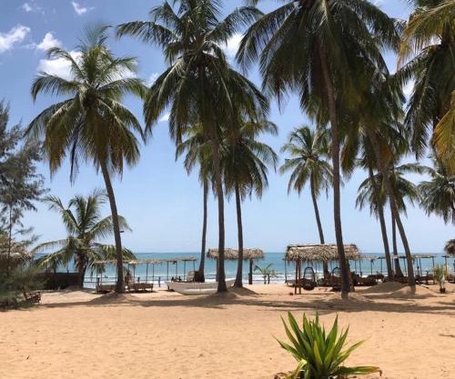 Upali Beach Surf Resort & Café