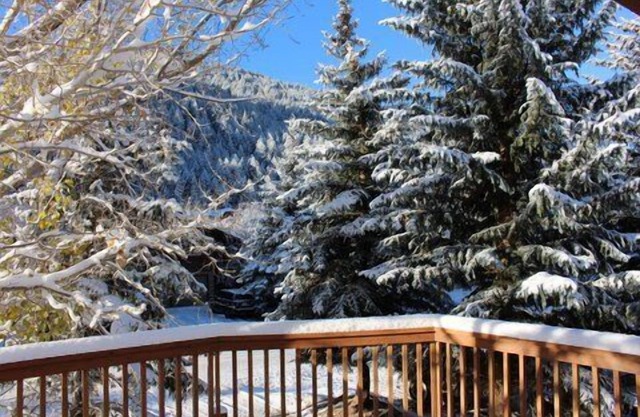 Updated Eagle-Vail 4 bedroom Duplex with Private Hot Tub and Sauna. Sleeps 10.