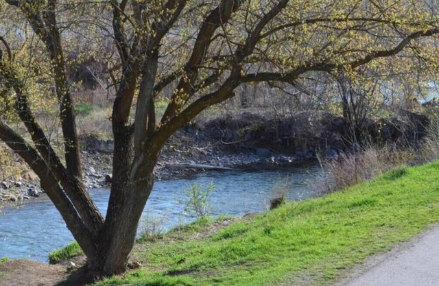 Upscale Modern Apt 302 in the heart of Missoula