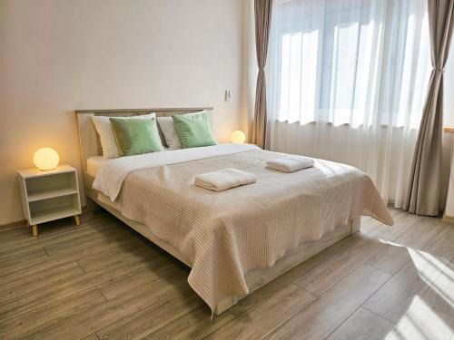 Urban Retreat Central Studio with Tâmpa View