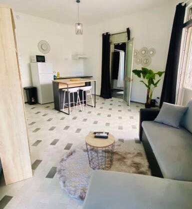 Urban Zen Appart Spacieux studio atypique avec bain a remous proche de tout