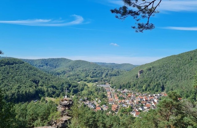 Vacation apartment/apartment for 3 guests with 53m² in Ludwigswinkel (266826)