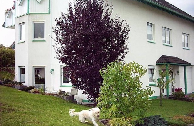 Vacation apartment Marita - 2-bed apartment