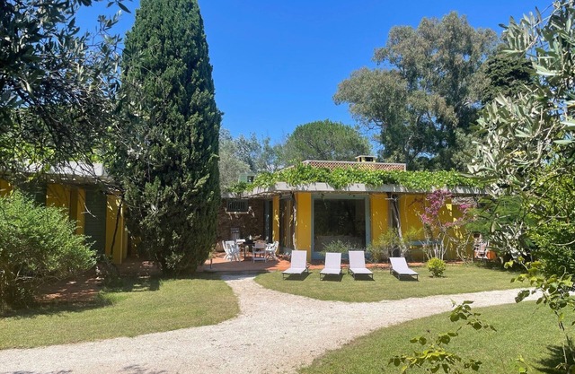 Vaste Maison D'architecte Avec Jardin Arboré