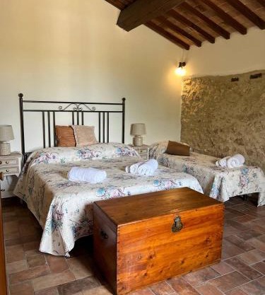 Vecchio Ciliegio - Casale Toscano tra Firenze e Siena