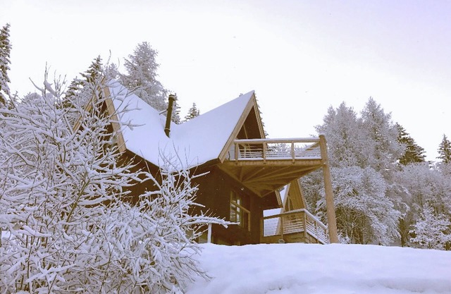 Very spacious chalet, 15p, 7Ch, 5sdb, sauna, on the slopes