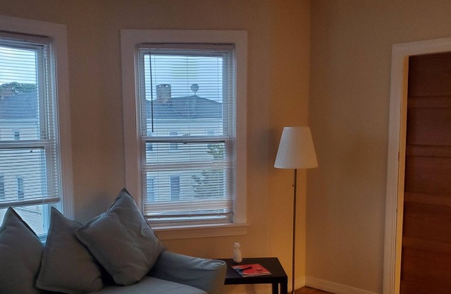 Victorian Apartment Central Location on Historic Federal Hill #3