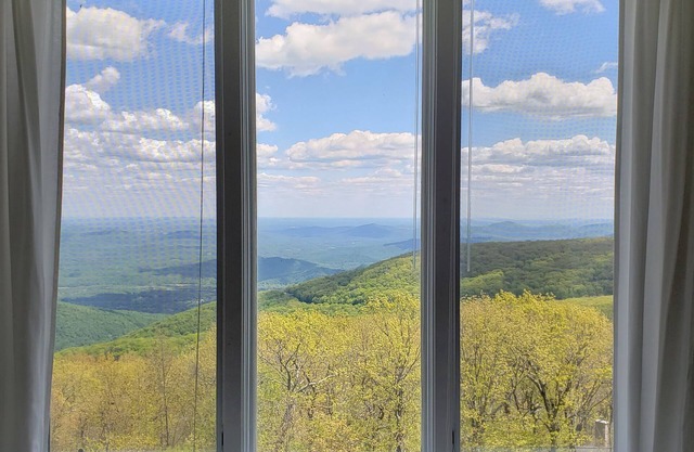 View from the Top