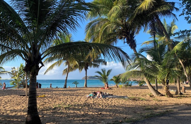 villa 200m from the sea