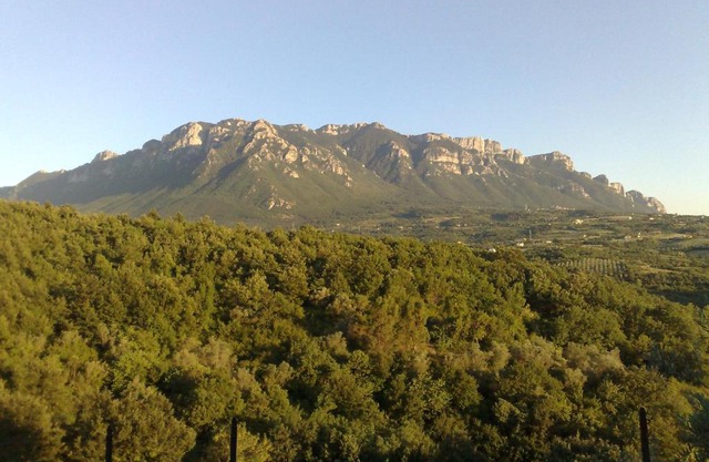 Villa Cennamo Residence