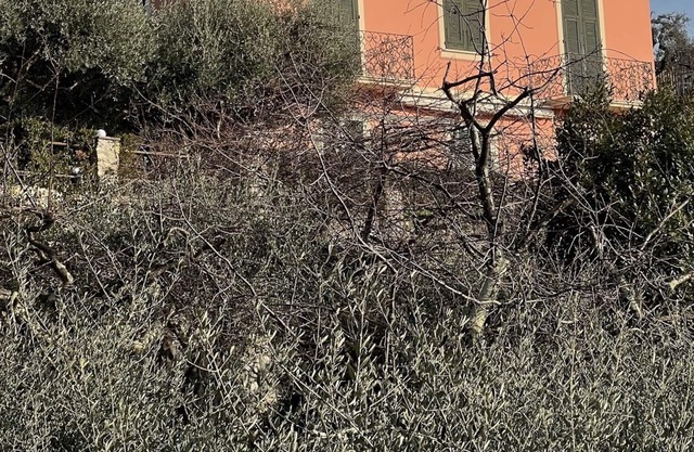 VILLA DEGLI ULIVI - Splendid Villa for 4-6-8 people, 5 minutes walk from the sea